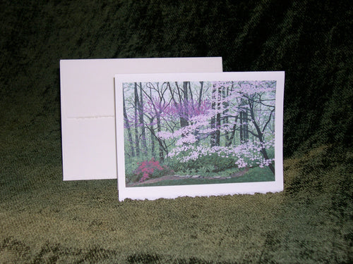 Box of McCutchanville in April Greeting Cards